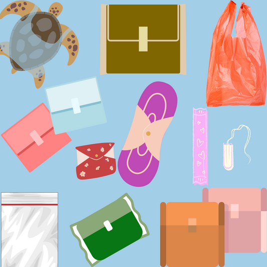 Día Internacional Libre de Bolsas de Plástico: menstruar sin contaminar también es posible