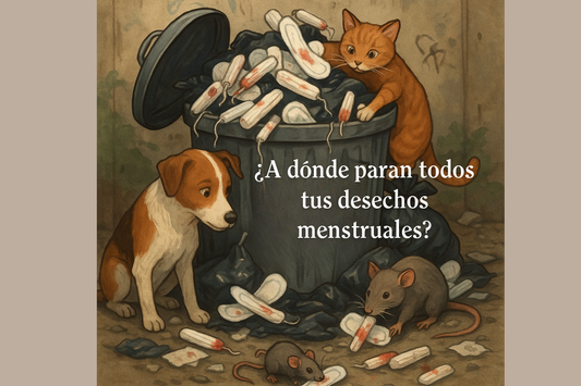 Contaminación invisible: daños de los tampones y toallas al entorno