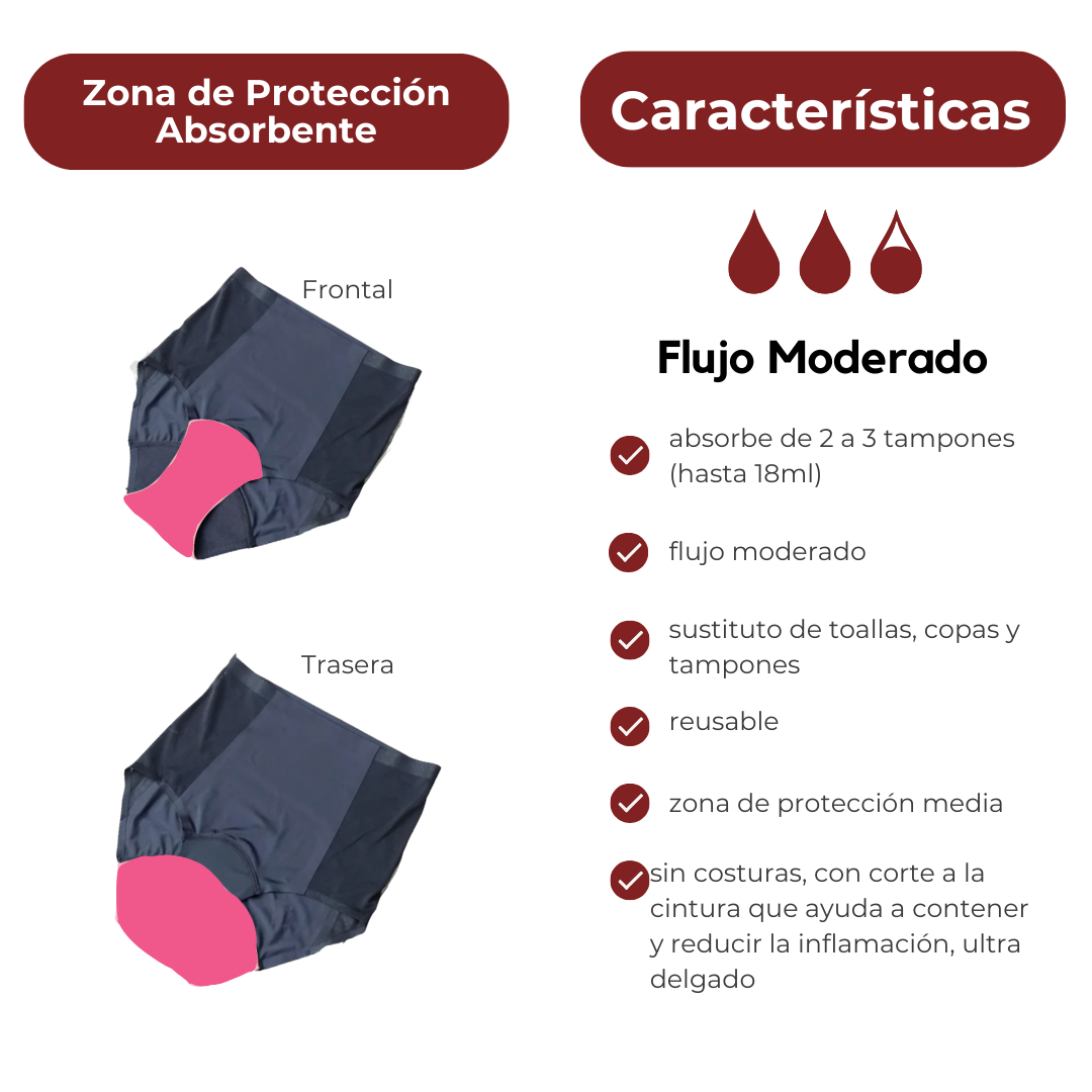 Calypso (Bonded High Waist Brief) - Moderado