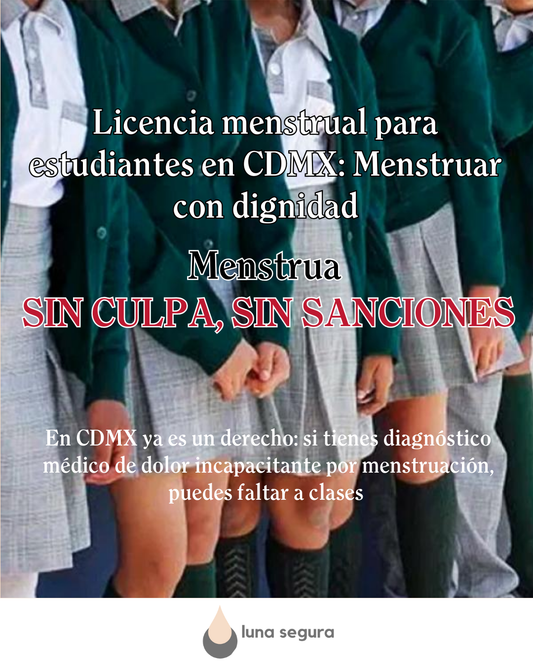 Licencia menstrual para estudiantes en CDMX: Menstruar con dignidad