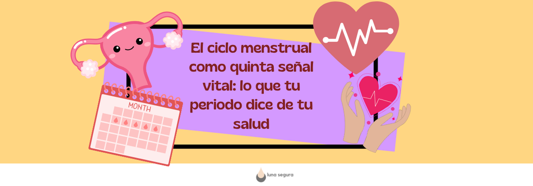 El ciclo menstrual como quinta señal vital: lo que tu periodo dice de tu salud