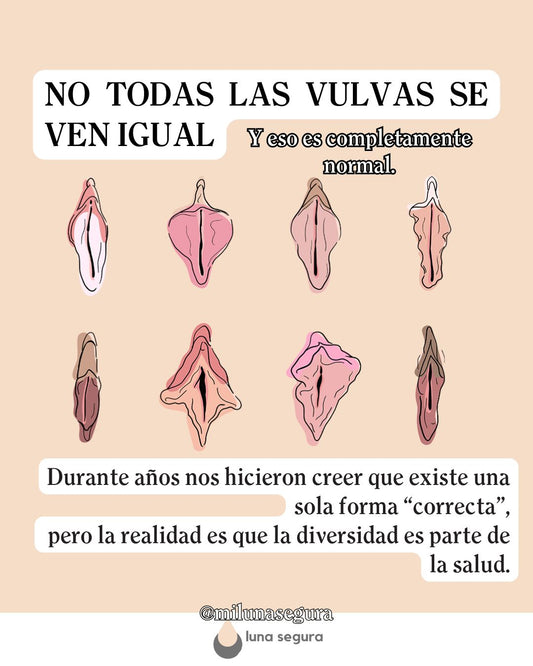 Entender tu vulva: diversidad corporal más allá de los mitos
