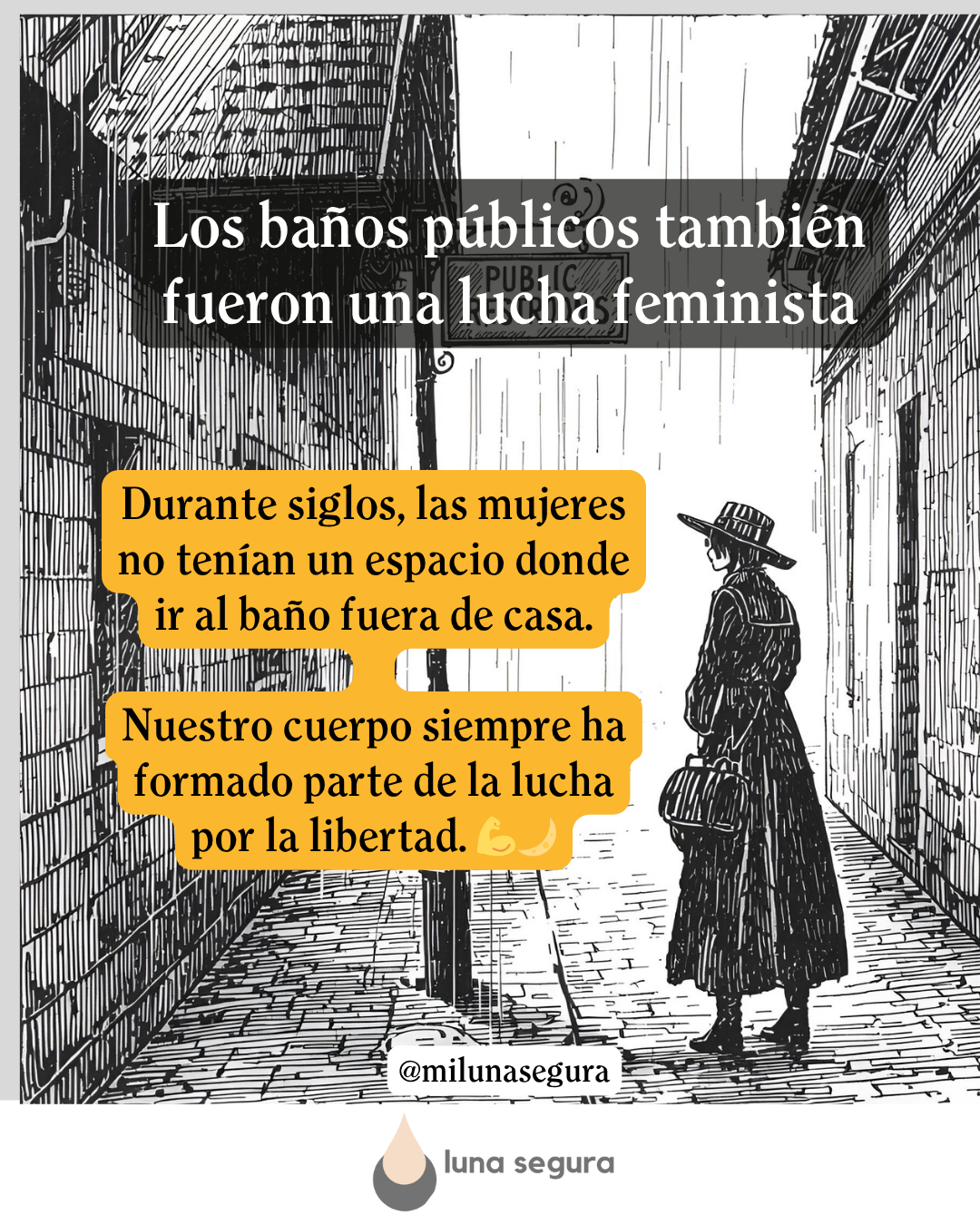 Baños públicos y feminismo: un reclamo de igualdad y dignidad