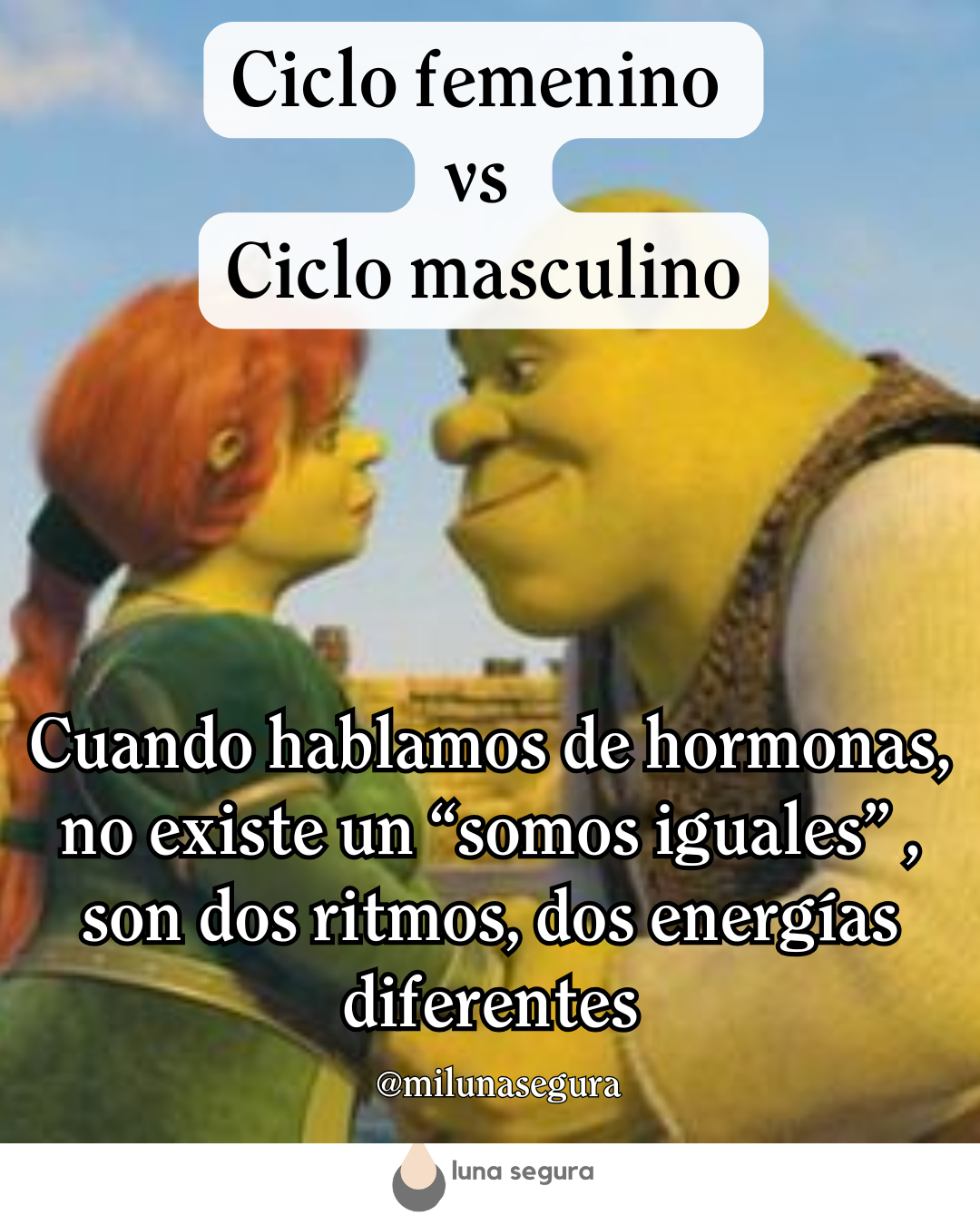 Diferencias entre el ciclo masculino y el femenino: dos ritmos, dos energías